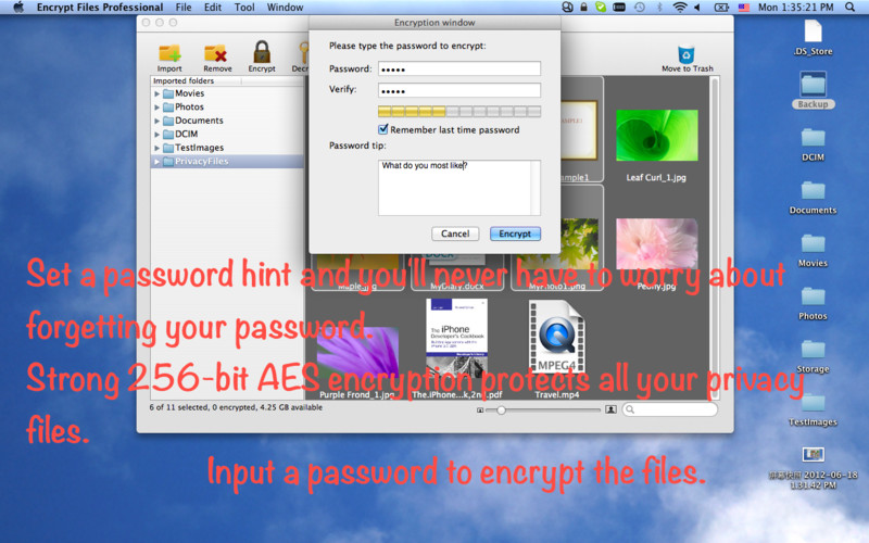 Encrypt Files Lite 3.1 : Encrypt Files Lite screenshot