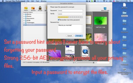 Encrypt Files Lite screenshot