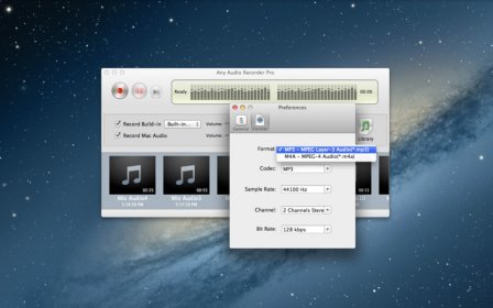 Any Audio Recorder Pro screenshot