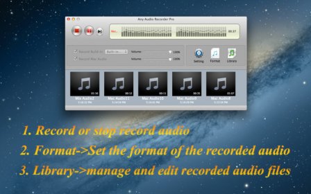 Any Audio Recorder Pro screenshot