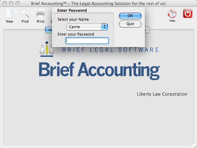 Brief Accounting 9.0 : Main Window