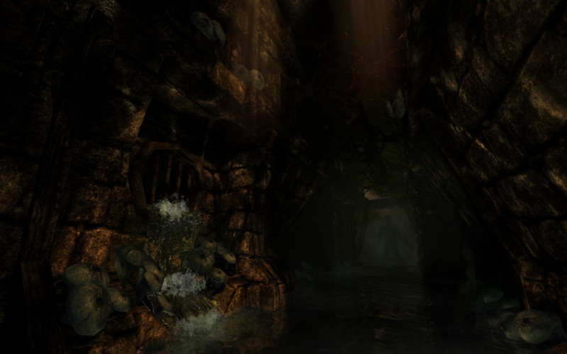 Amnesia: The Dark Descent : Amnesia: The Dark Descent screenshot