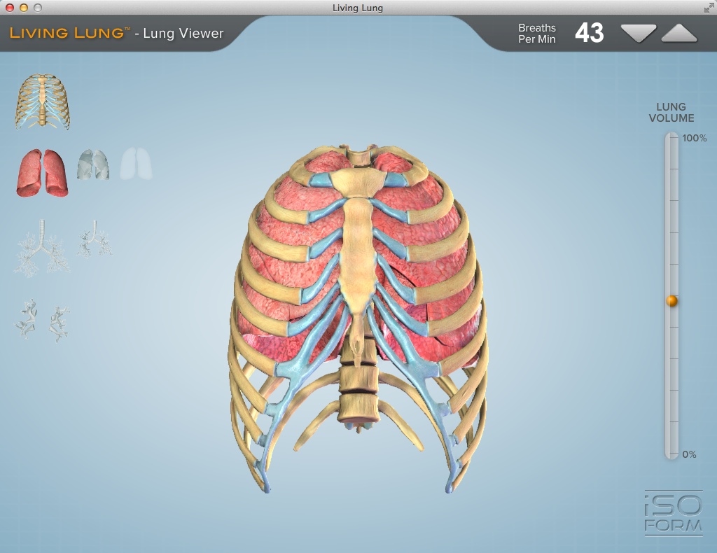 Living Lung™ - Lung Viewer 1.0 : Main Window