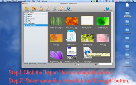 Encrypt Files Professional screenshot