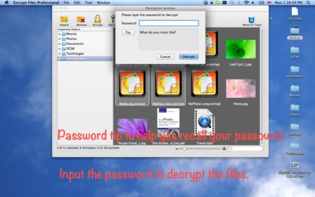 Encrypt Files Professional screenshot