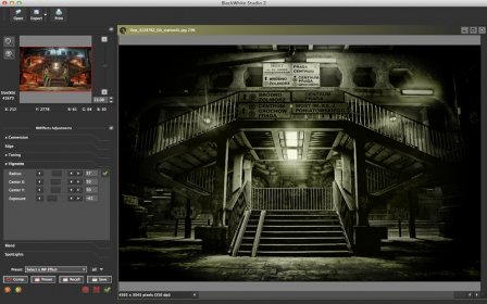 BlackWhite Studio 2 - Professional Tool for Black&White Photography screenshot