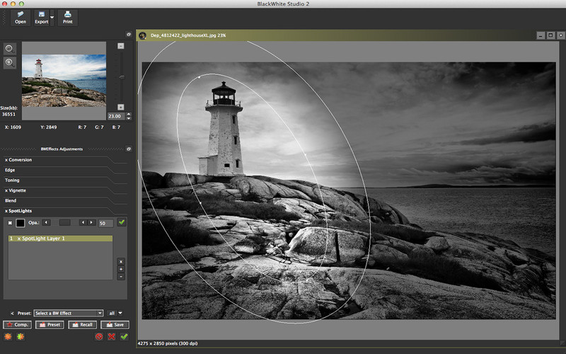BlackWhite Studio 2 - Professional Tool for Black&White Photography 2.0 : BlackWhite Studio 2 - Professional Tool for Black&White Photography screenshot