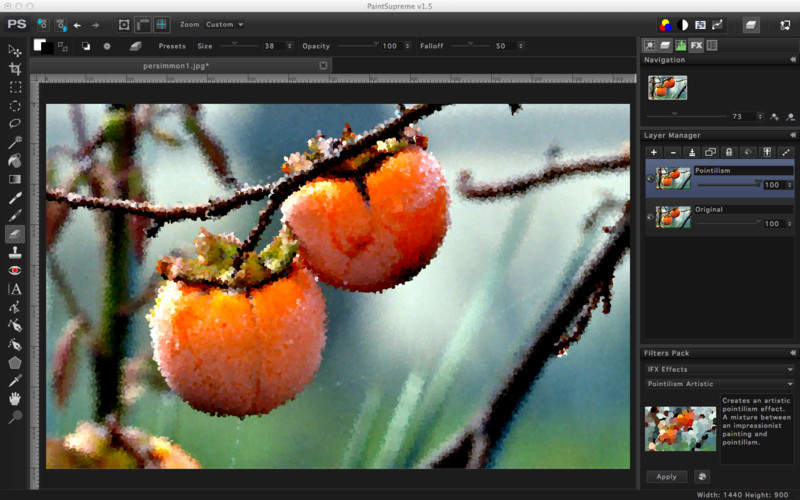 PaintSupreme 1.5 : PaintSupreme screenshot