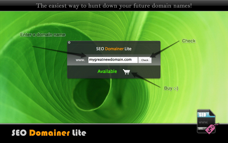 SEO Domainer Lite 1.0 : SEO Domainer Lite screenshot