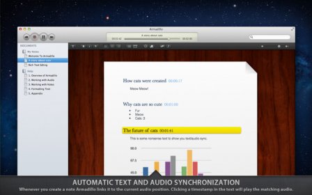 Armadillo Audio Notes screenshot