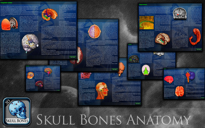 Skull Bones 1.0 : Skull Bones screenshot