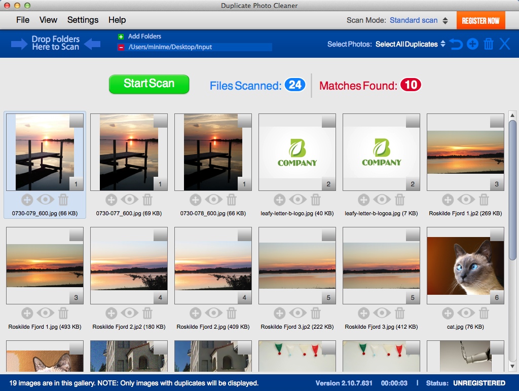 Duplicate Photo Cleaner 2.1 : Preview Found Duplicates