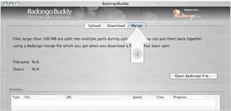 BadongoBuddy 1.0 : Program window