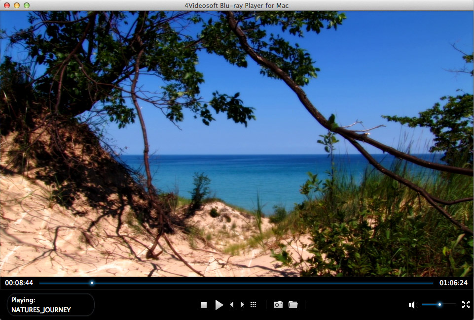 4Videosoft Blu-ray Player for Mac 6.1 : Main Window