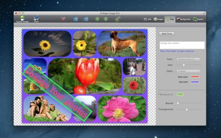 Collage Image Pro screenshot