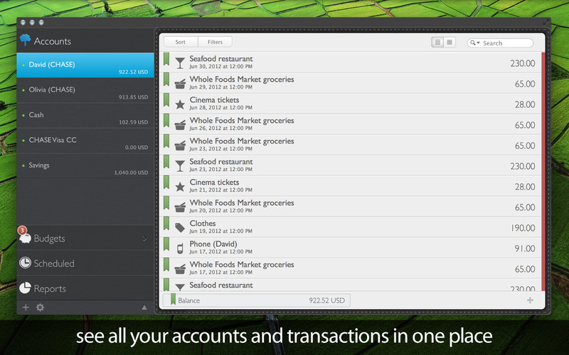 MoneyWiz - Personal Finance 1.4 : MoneyWiz - Personal Finance screenshot