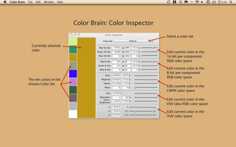 Color Brain 1.1 : Color Brain screenshot