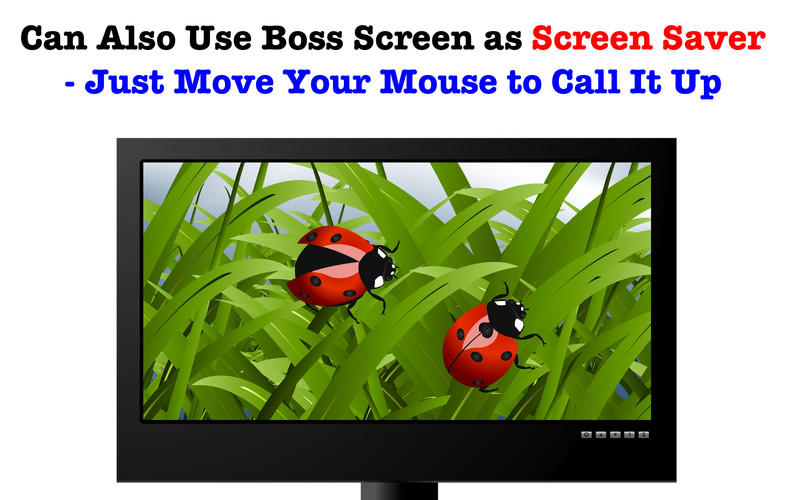 Boss Screen Pro 1.7 : Boss Screen Pro screenshot