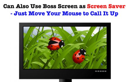 Boss Screen Pro screenshot