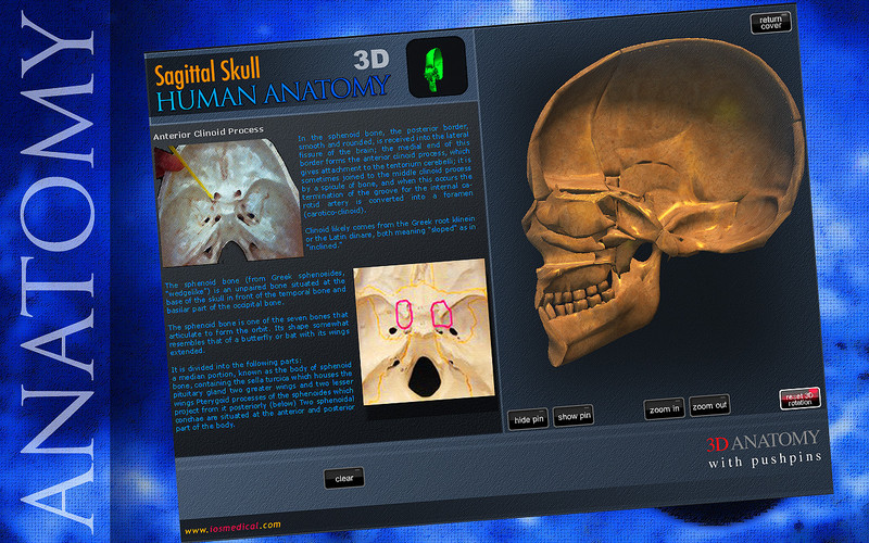 Sagittal Skull 3D 1.0 : Sagittal Skull 3D screenshot