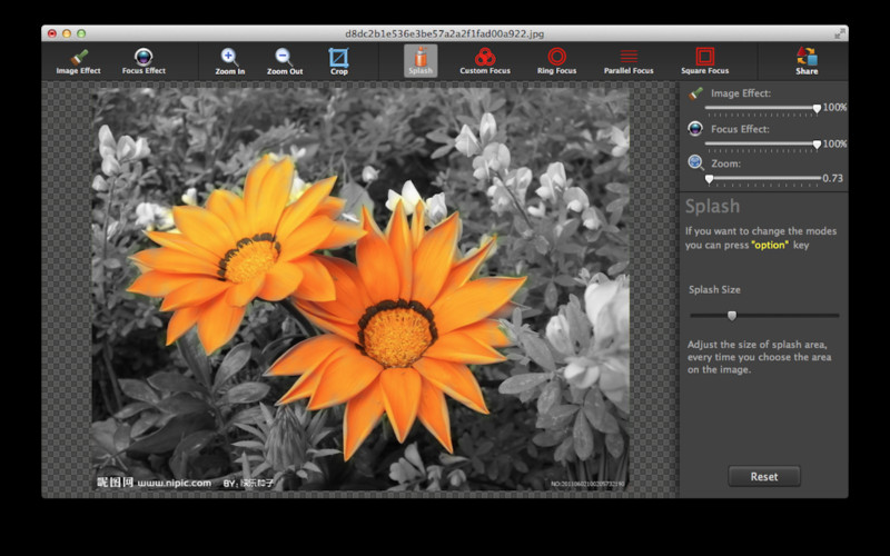 Photo Focus Pro 2.1 : Photo Focus Pro screenshot