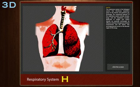 Respiratory System H screenshot