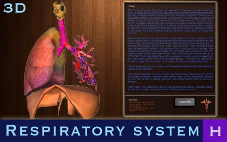 Respiratory System H screenshot