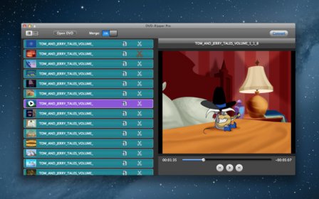 DVD-Ripper Pro Lite screenshot