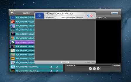 DVD-Ripper Pro Lite screenshot