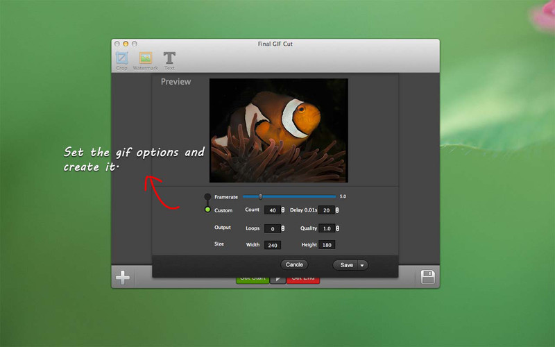 Final GIF Cut 1.3 : Final GIF Cut screenshot