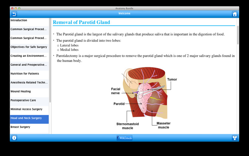 Anatomy Bundle by WAGmob 1.5 : Anatomy Bundle by WAGmob screenshot