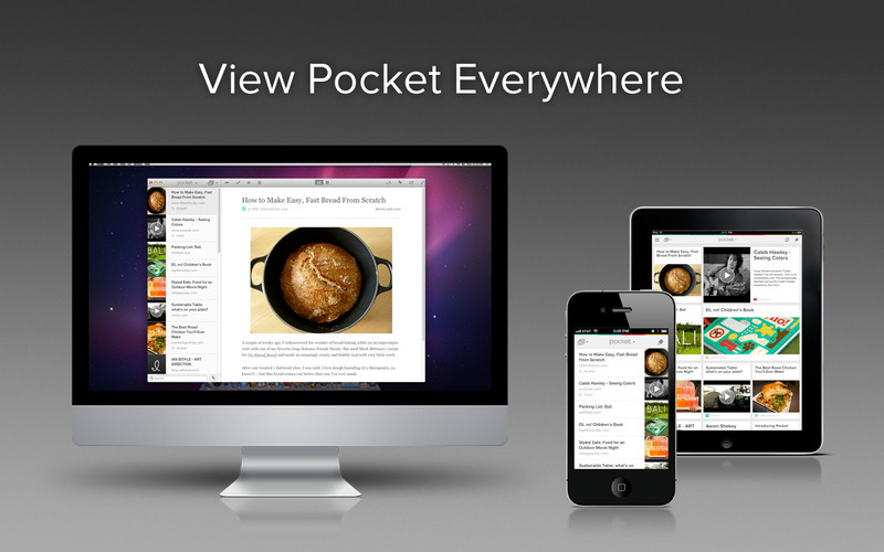 LastPass Pocket 1.5 : Pocket screenshot