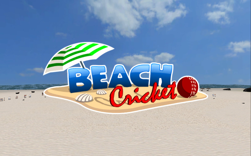 BeachCricket 2.2 : BeachCricket screenshot