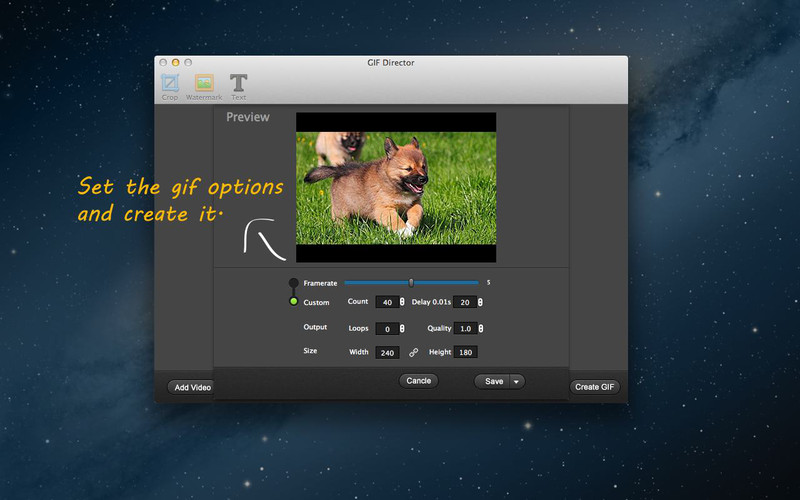 GIF Director 1.0 : GIF Director screenshot