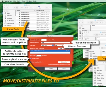 File distribution