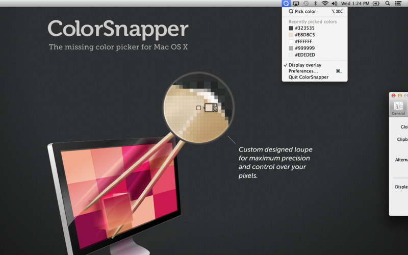 ColorSnapper 1.1 : ColorSnapper screenshot