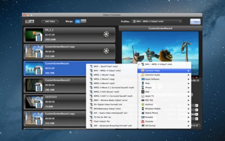 Video Converter + DVD Ripper Pro screenshot