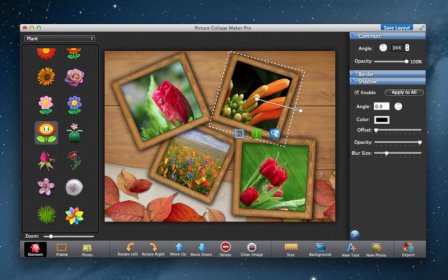 Photo Collage Maker Pro Lite screenshot
