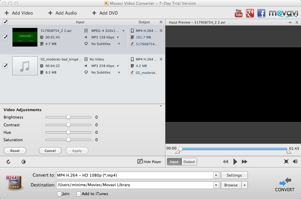 Movavi Video Converter 4.4 : Video Adjustment Window