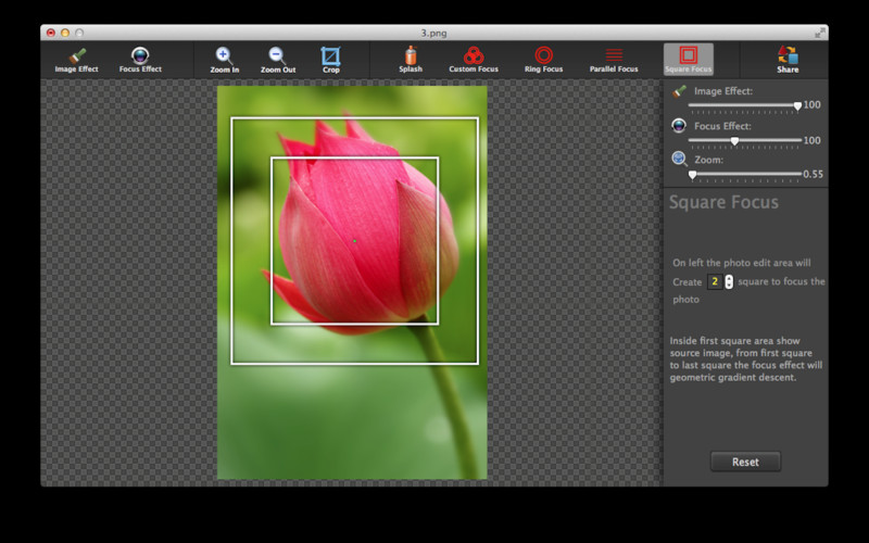 Photo Focus Pro Lite 2.1 : Photo Focus Pro Lite screenshot