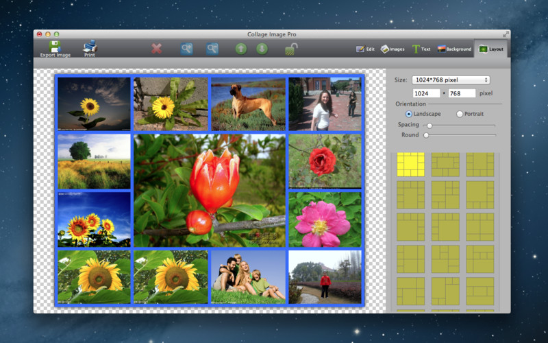 Collage Image Pro Free 2.1 : Collage Image Pro Free screenshot