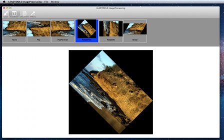 LEADTOOLS ImageProcessing screenshot