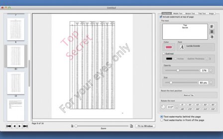 PDF Multi Watermarker screenshot