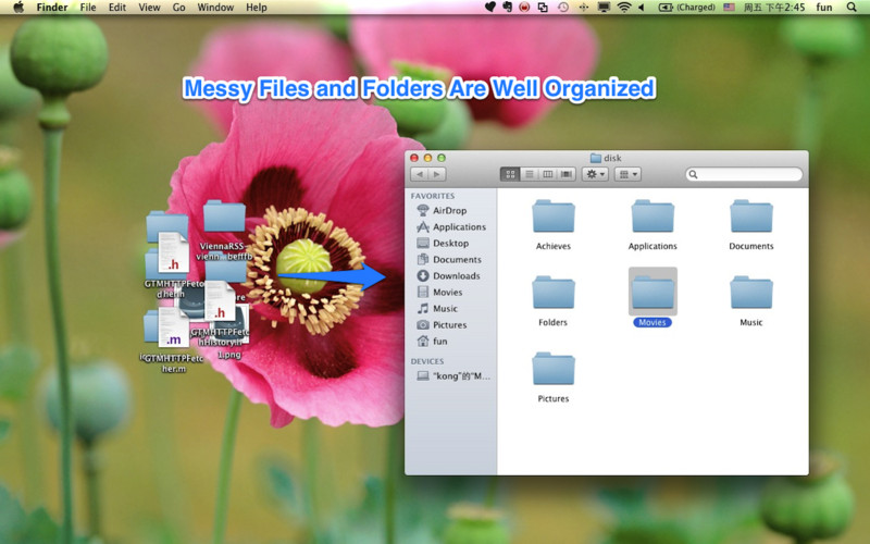FileOrganizer 3.7 : Easy File Organizer screenshot