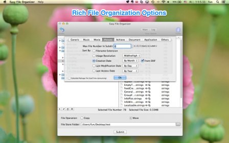 Easy File Organizer screenshot