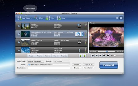 AnyMP4 MKV Converter screenshot