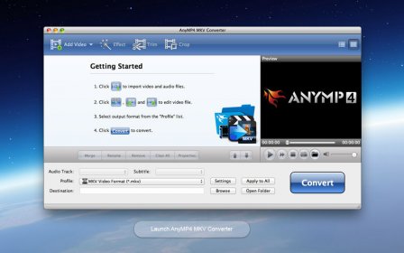 AnyMP4 MKV Converter screenshot