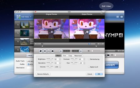 AnyMP4 MKV Converter screenshot