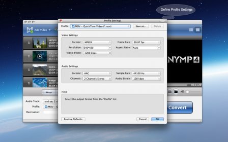 AnyMP4 MKV Converter screenshot
