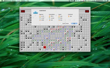 Minesweeper Deluxe screenshot